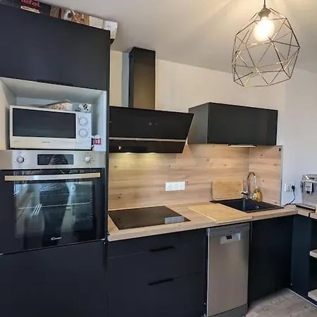 Appartement Proche Parc Expo Nancy *